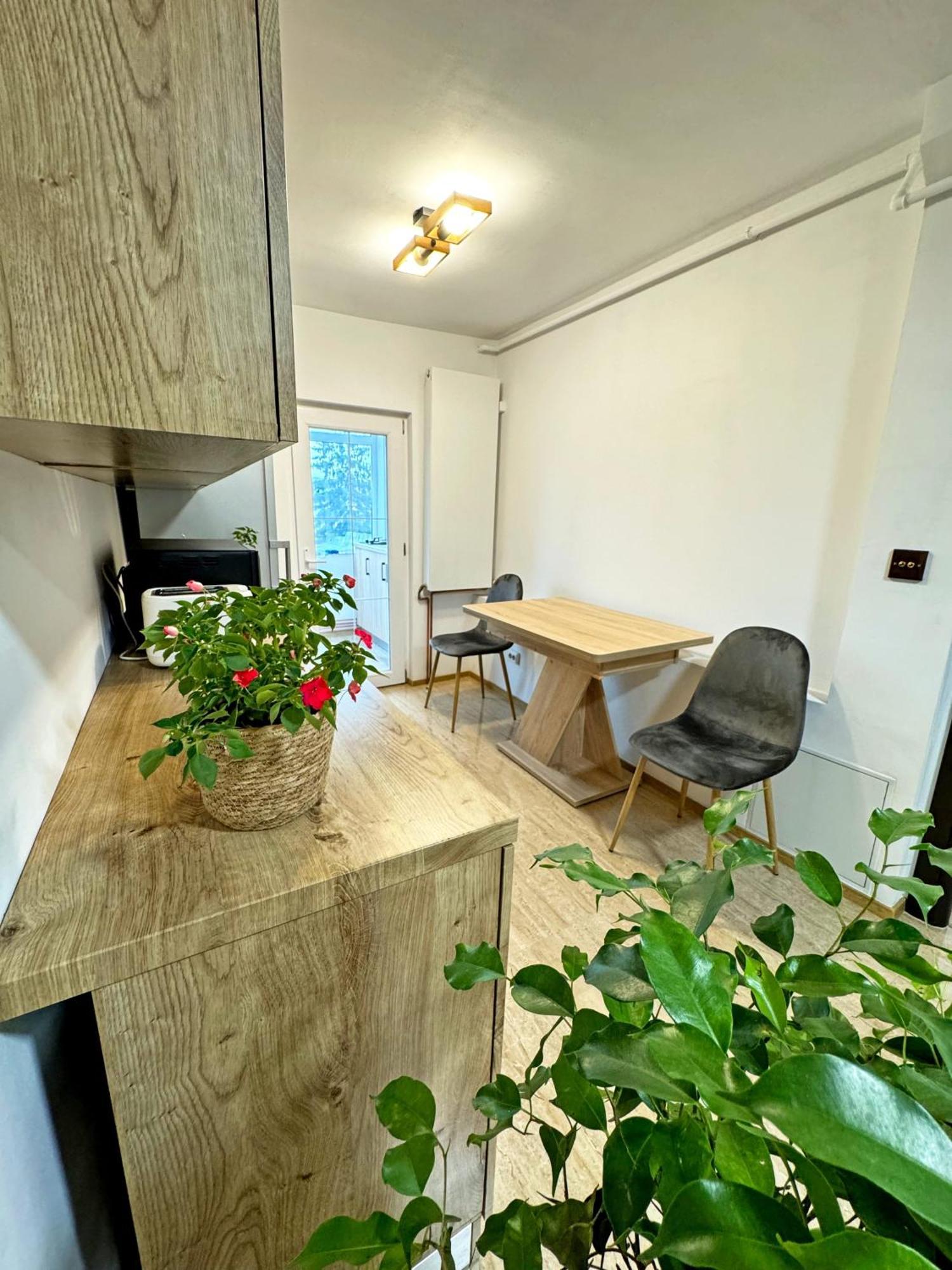 Ultracentral Apartment Târgu Jiu Exterior foto